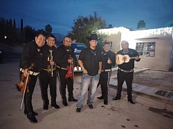 Cotizacion sin compromiso